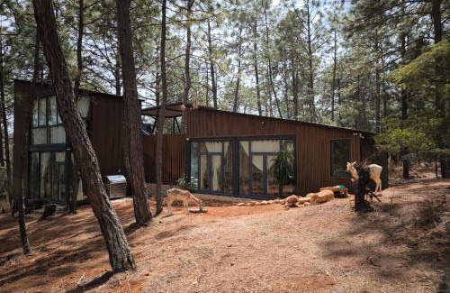 Atemajac de Brizuela Ski Chalet | Cabaña Arroyo de los Venados