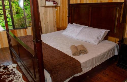 Agua Caliente Ski Chalet | Cabaña Ave Del Paraiso