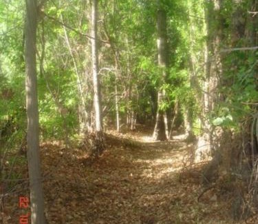 Rama Caida House | CABAÑA CHIC Finca San Miguel