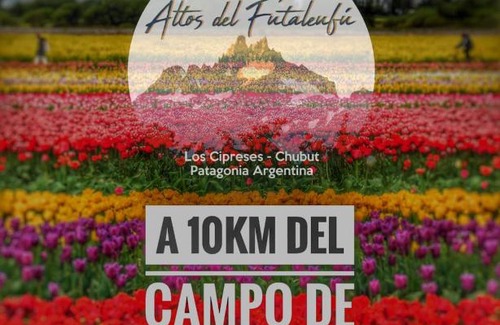 Trevelin Ski Chalet | Cabaña de CAMPO Altos del Futaleufu sobre COSTA DE RÍO
