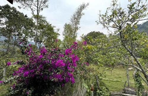 Chinacota Villa | Cabaña de Ensueño