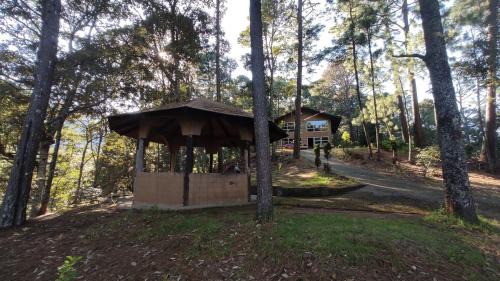 Charo Ski Chalet | Cabaña en Bosque Privado - Cabaña 1