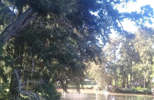 Partido de Tigre Apartment | Cabaña 'La Casita Azul" en Delta Tigre