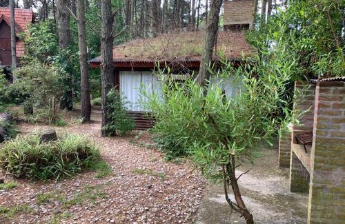 La Lucila del Mar House | Cabaña Lemu Unku, El Pinar -6 personas-