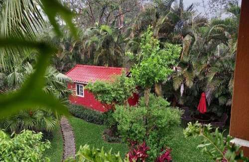 El Valle de Anton Cabin | Cabaña Villa Victoria