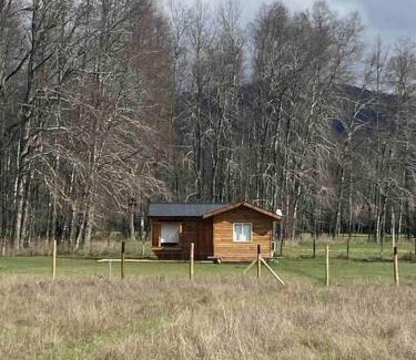 Villarrica House | Cabaña Villarrica Pucon Sector Conquil