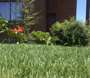 Chillan House | Cabañas Alto Nativo