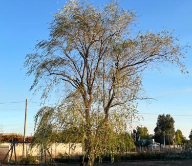 Chillan House | Cabañas Campestres Inés
