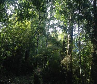 Hornopiren National Park House | Cabañas El Mirador