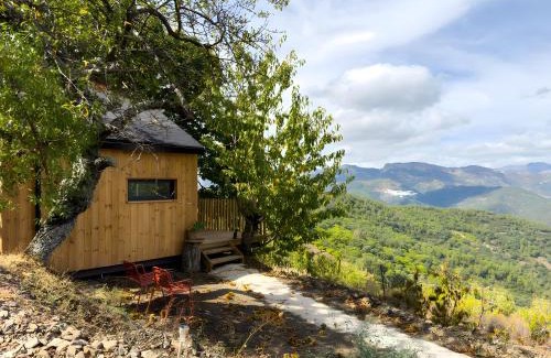 Jubrique House | Cabañas Entre Castaños