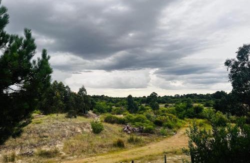 Guazuvira Nuevo House | Cabañas Toro Viejo