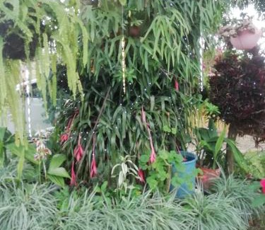 Floridablanca Apartment | Cabañita en medio de la Naturaleza Mesa de Ruitoque