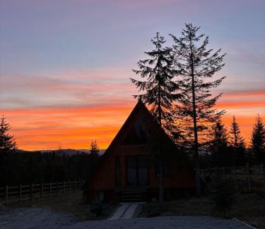 Calatele Ski Chalet | Cabană Panoramic Aframe