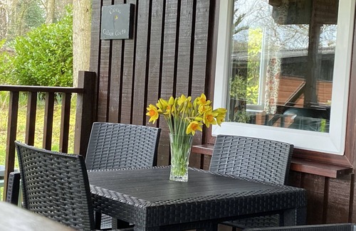 Cenarth House | Caban Coetir - Spacious lodge in stunning woodland location 🐾✅