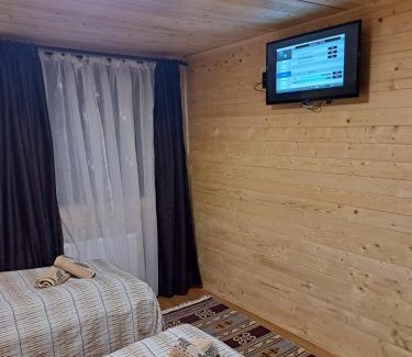 Baia Mare Cabin | Cabana Alpha