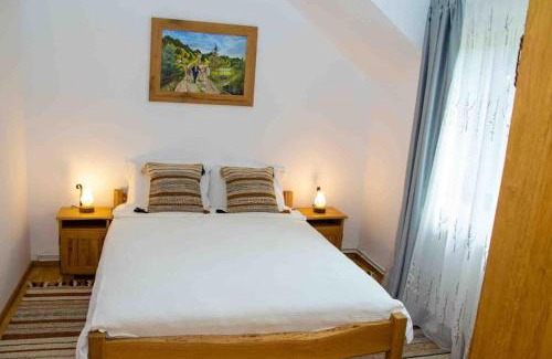 Campulung Moldovenesc House | Cabana din poiană
