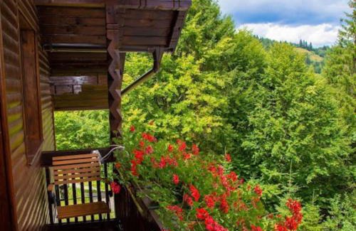 Campulung Moldovenesc House | Cabana din poiană