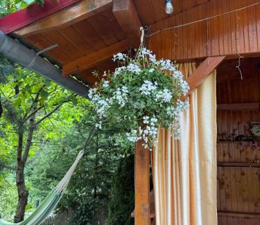 Bulz Villa | cabana din vale