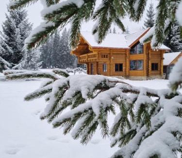 Marisel House | Cabana dintre brazi Mărișel