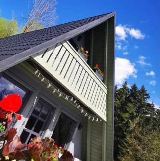 Borsa Cabin | Cabana Doinița