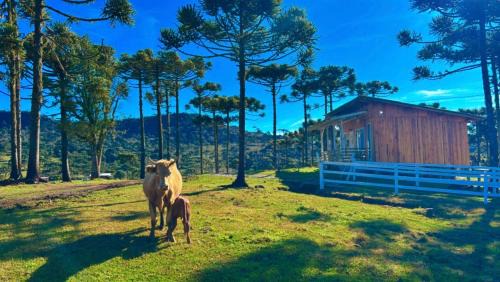 Urubici Ski Chalet | Cabana Fazenda Borba