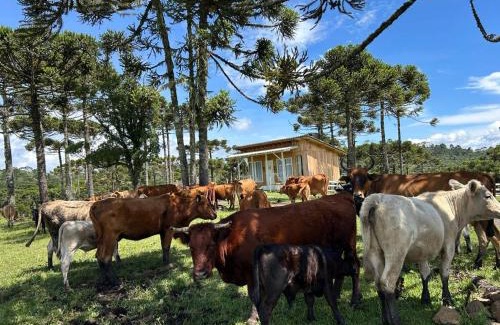 Urubici Ski Chalet | Cabana Fazenda Borba