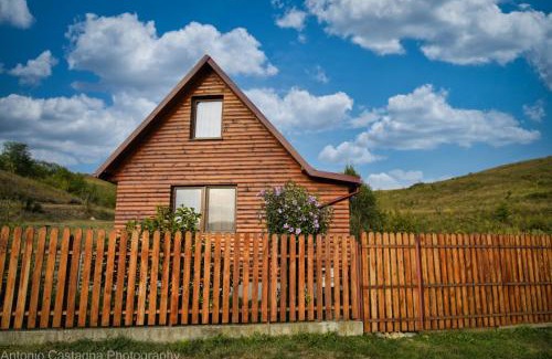Aschileu Mare Cabin | Cabana Fodora