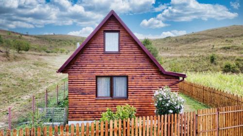 Aschileu Mare Cabin | Cabana Fodora