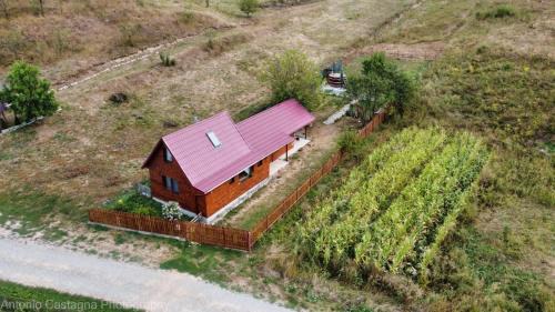 Aschileu Mare Cabin | Cabana Fodora