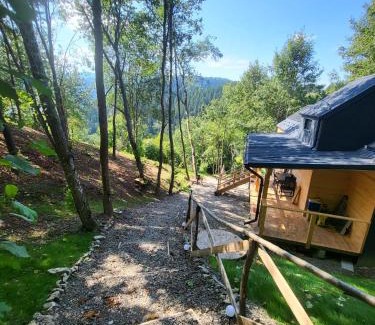 Bicaz House | Cabana Forest LakeView Potoci