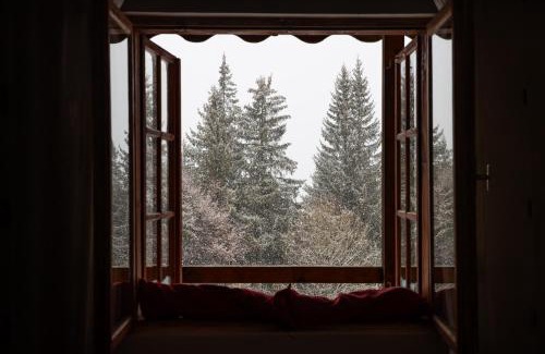 Predeal Cabin | Cabana Gîrbova