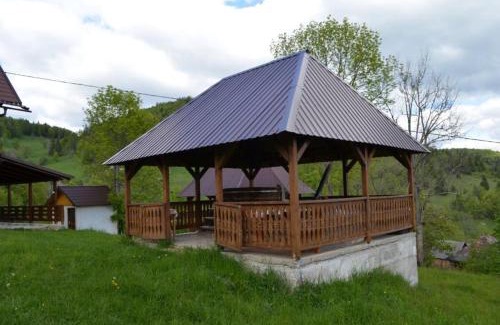 Garda de Sus Cabin | Cabana Ioana