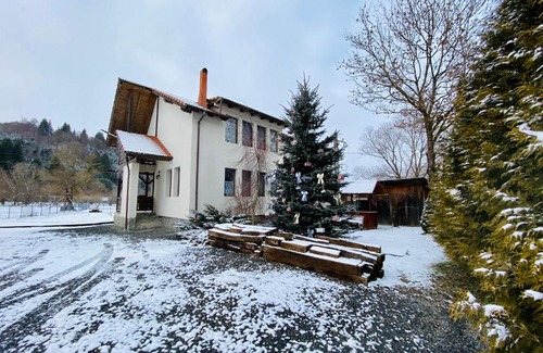 Sacuieu Villa | Cabana Lixandra