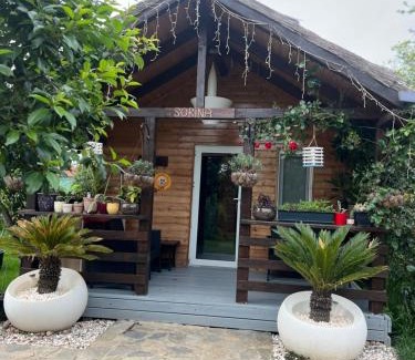 Corbu Cabin | Cabana Sorina