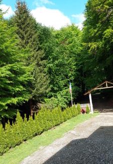 Oestii Paminteni Other | Cabana Valea Bradului