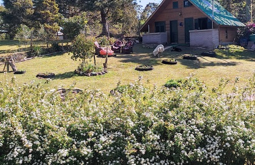 Sao Francisco de Paula Cabin | Cabanas Luar