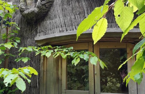 Saint-Augustin Other | Cabane d'Augustin