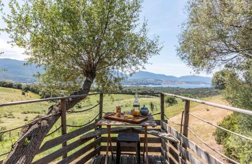 Olmeto House | Cabane Dans les Arbres, Domaine de l Ogliastru