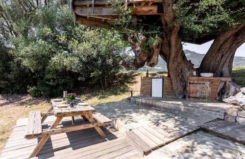 Olmeto House | Cabane Dans les Arbres, Domaine de l Ogliastru