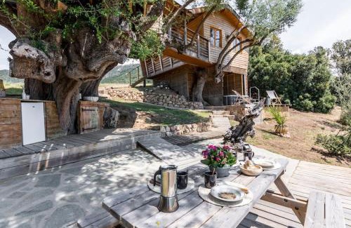 Olmeto House | Cabane Dans les Arbres, Domaine de l Ogliastru