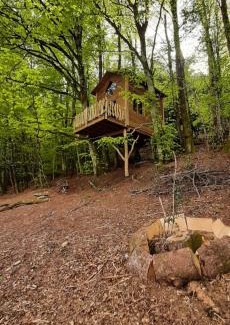 Glux-en-Glenne Other | Cabane du Druide Domaine de Fangorn