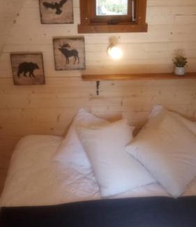 Champfromier Other | Cabane en bois POD 1