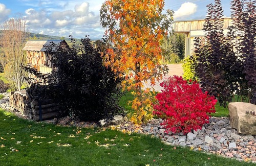 Anould Cottage | Cabane moderne et atypique au calme face à la nature, avec spa privatif
