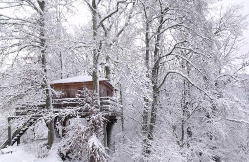 Ferdrupt Ski Chalet | Cabane perchée avec terrasse, sauna et BBQ à Ferdrupt - FR-1-589-770