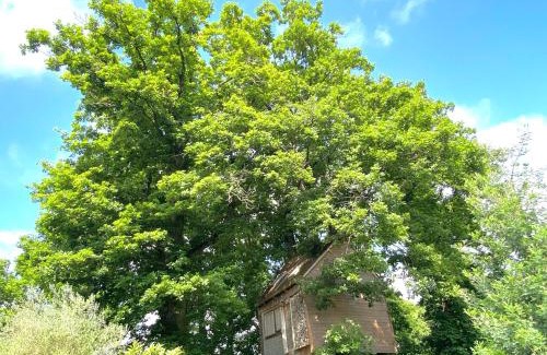 Villebon-sur-Yvette Ski Chalet | Cabane suspendue dans les arbres