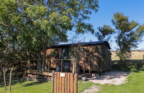 Robin Hood's Bay Cottage | Cabin ∙ 1 bedroom ∙ 2 guests
