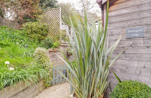 Charlton Kings Cottage | Cabin ∙ 1 bedroom ∙ 2 guests