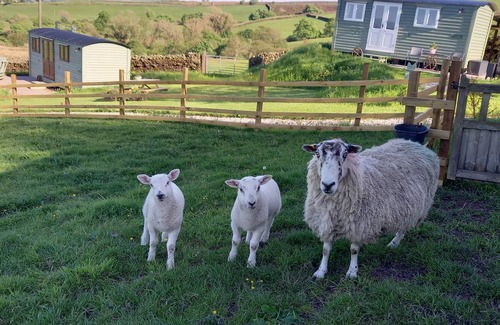 Barnoldswick Cottage | Cabin ∙ 1 bedroom ∙ 2 guests