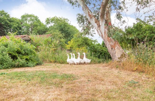 Gissing Cottage | Cabin ∙ 1 bedroom ∙ 2 guests