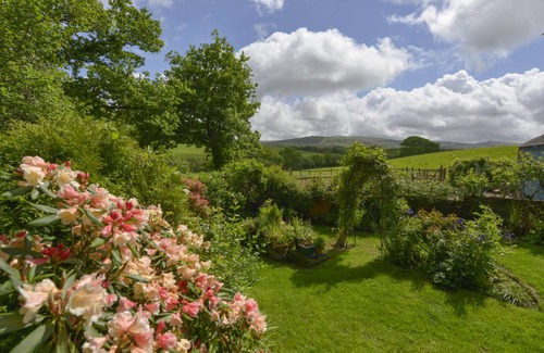Okehampton Cottage | Cabin ∙ 1 bedroom ∙ 2 guests